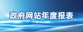 政府网站年度报表